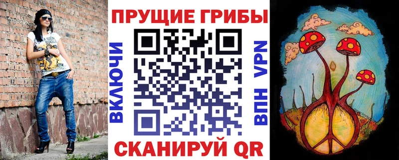 Псилоцибиновые грибы мицелий  Купить закладки  Ефремов 